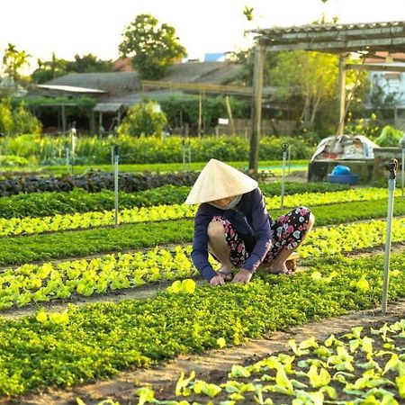 Hoi An Cabbage Garden Leilighet Eksteriør bilde
